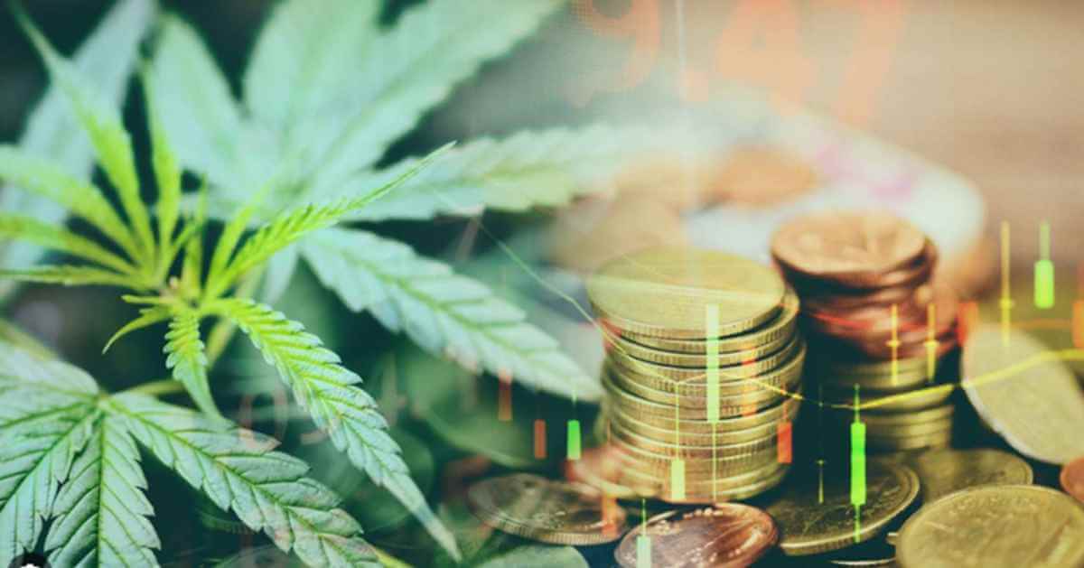 5 Important Tips About Marijuana Business: Setting Up for Success